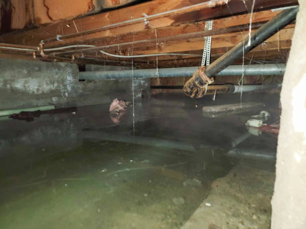 Best Ceiling water damage repair  in Southmont, PA