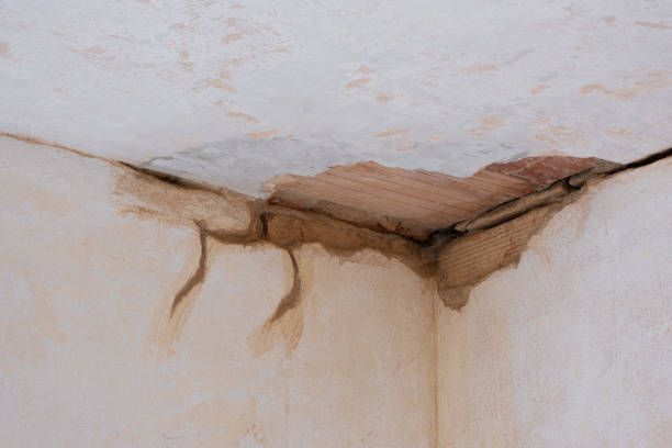 Best Water damage restoration near me  in Southmont, PA