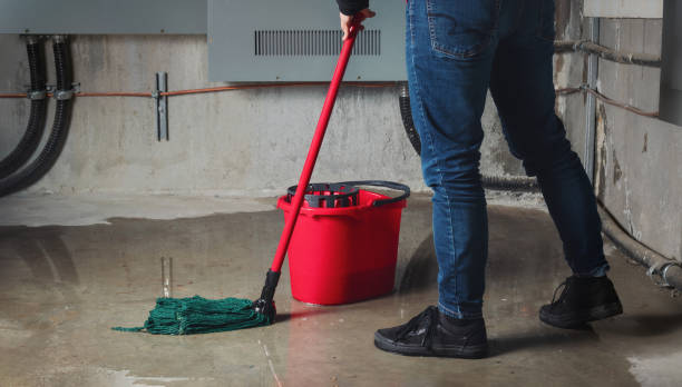 Best Fire Damage Restoration  in Southmont, PA