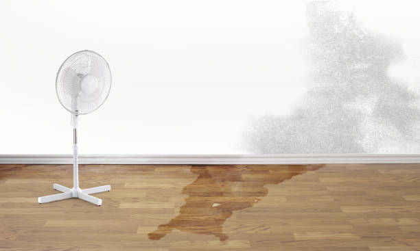 Best 24-hour water damage restoration  in Southmont, PA