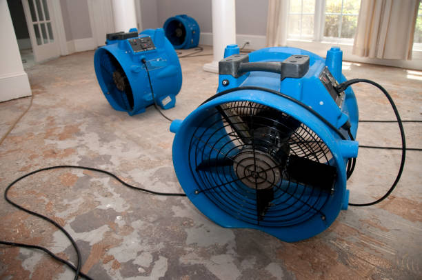 Best Carpet water damage restoration  in Southmont, PA