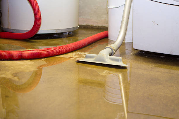 Best Water damage cleanup near me  in Southmont, PA