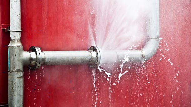 Best Water damage contractors near me  in Southmont, PA